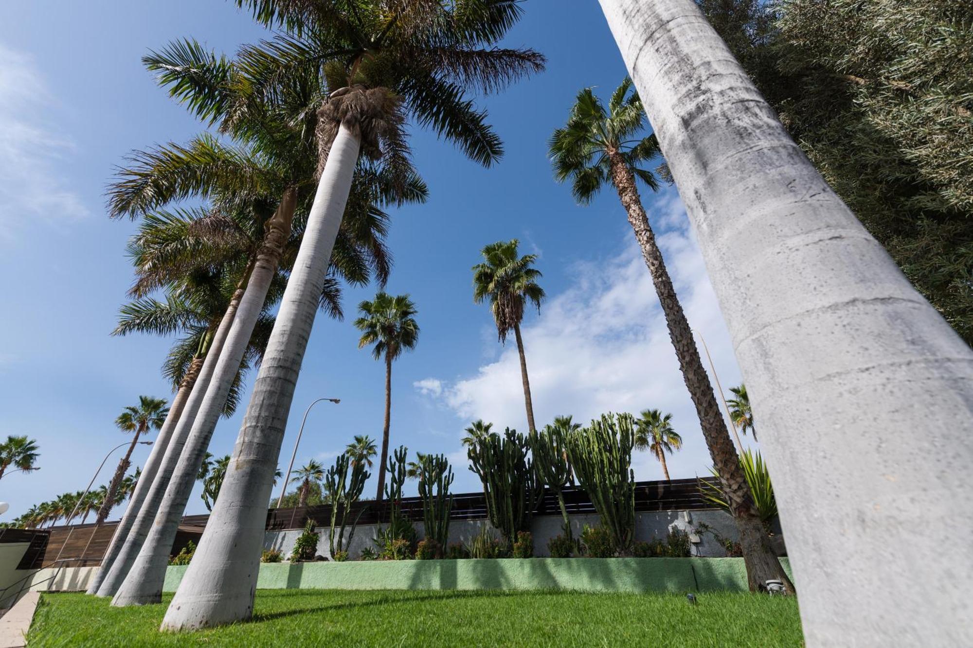 Eo Maspalomas Resort 외부 사진